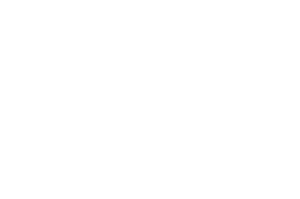 Award of Excelence - Southern Shorts Awards - 2023