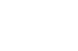 OFFICIAL SELECTION - Miami Independent Film Festival - 2020