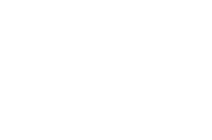 OFFICIAL SELECTION - Tampa Bay Underground Film Festival - 2020