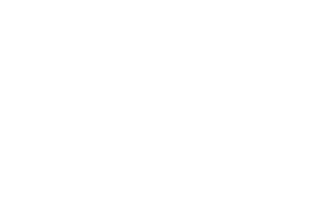 Official Selection - Reedy Reels Film Festival - 2023