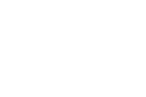 Official Selection - Shockfest Film Festival - 2021